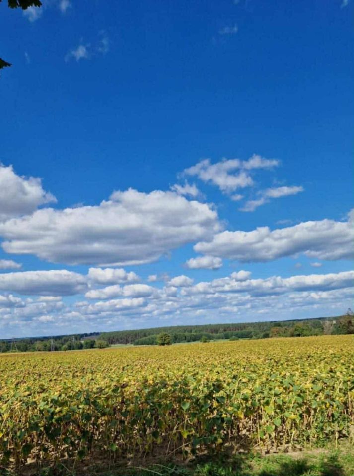 Działka budowlana Grobia. Zdjęcie 3