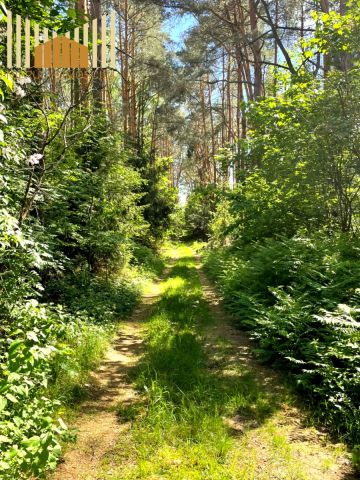 dom wolnostojący, 4 pokoje Kotuń. Zdjęcie 15