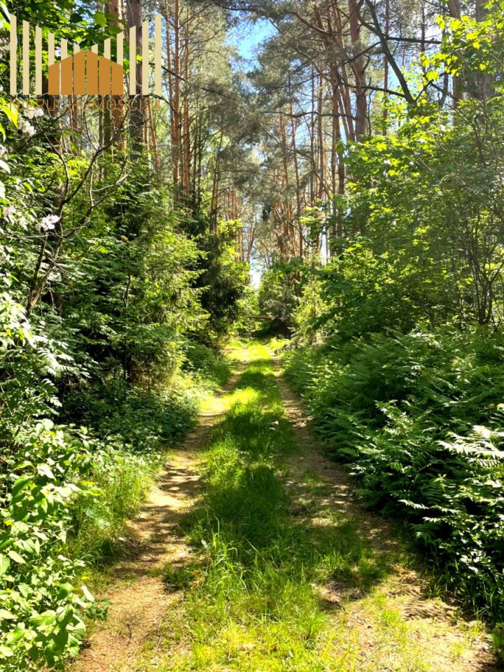 dom wolnostojący, 4 pokoje Kotuń. Zdjęcie 15