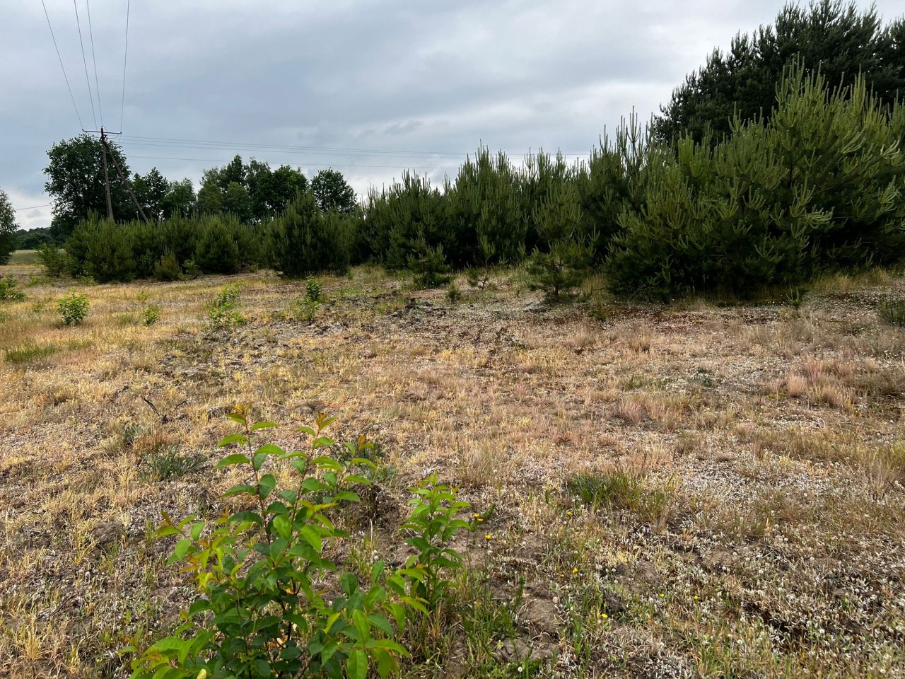 Działka budowlana Łąkie, Łąkie. Zdjęcie 8