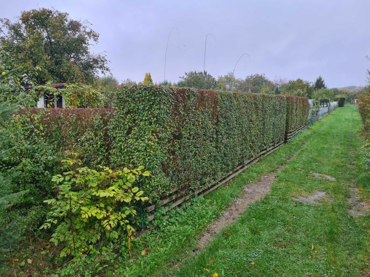 Działka rod Słupsk, ul. Gdańska. Zdjęcie 2