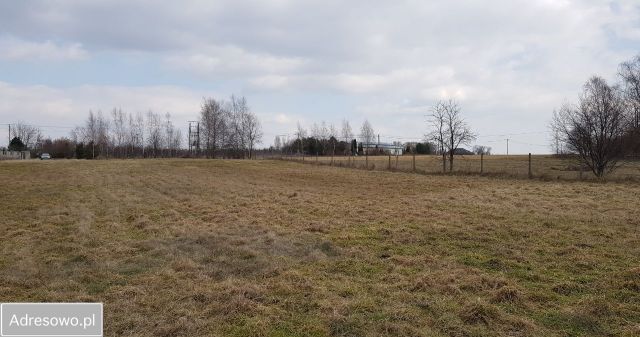 Działka budowlana Zaręby, ul. Słowika. Zdjęcie 1