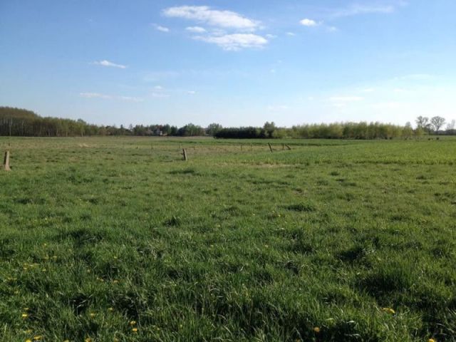 Działka budowlana Osiek. Zdjęcie 3