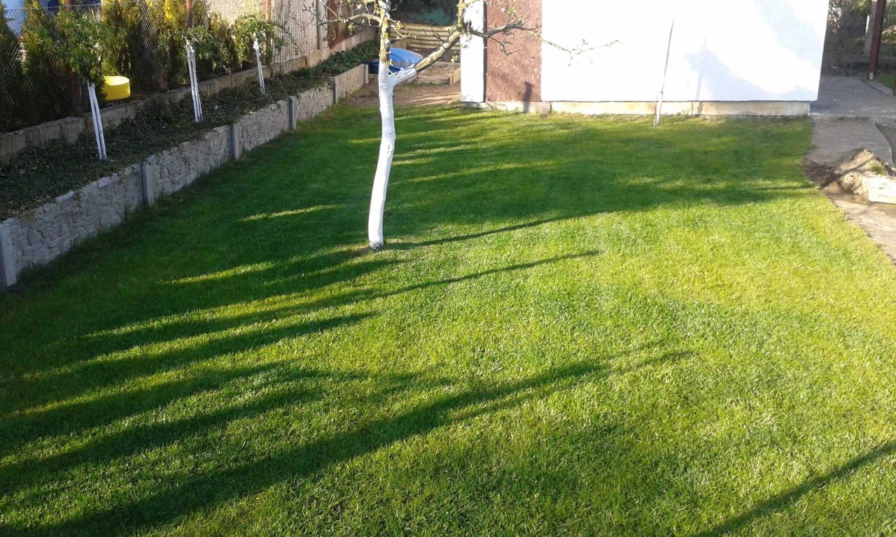 Działka rod Szczecin Gumieńce, ul. Południowa. Zdjęcie 2