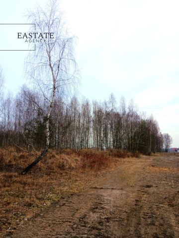 Działka budowlana Koryta. Zdjęcie 1