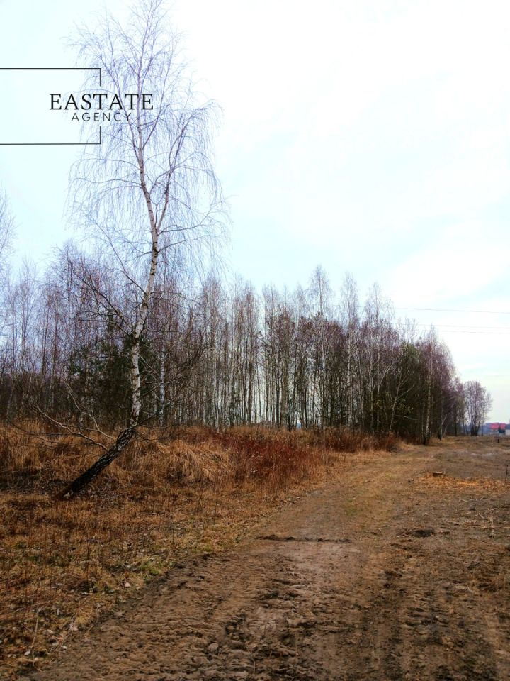 Działka budowlana Koryta. Zdjęcie 1