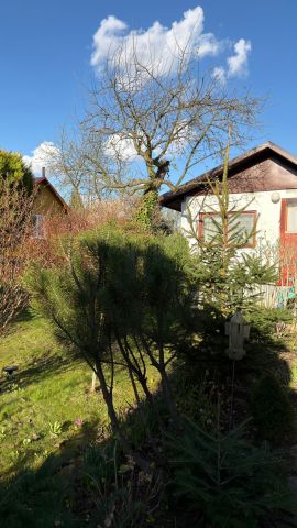 Działka rod Kraków Wzgórza Krzesławickie, Kocmyrzowska 38. Zdjęcie 1