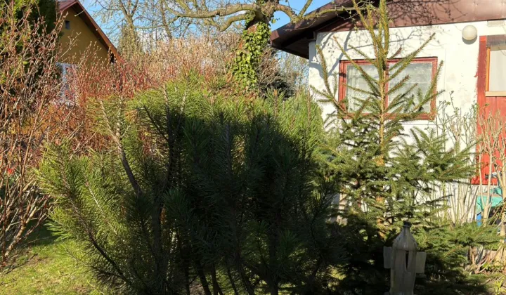 Działka rod Kraków Wzgórza Krzesławickie, Kocmyrzowska 38