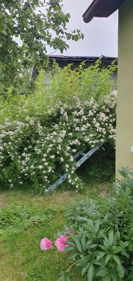 Działka rod Wodzisław Śląski, ul. Marklowicka. Zdjęcie 8