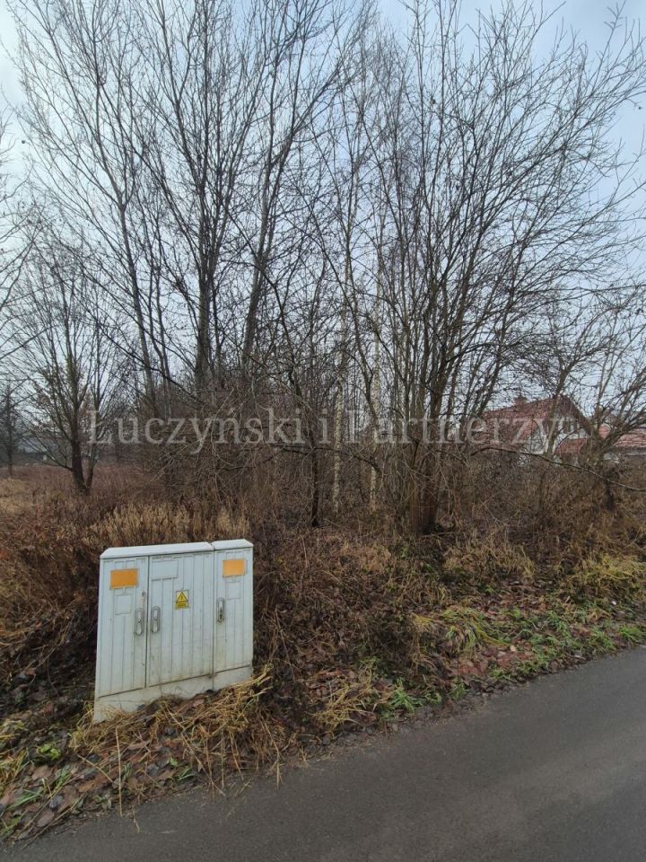 Działka inwestycyjna Olszyna. Zdjęcie 6