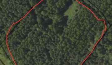 Działka siedliskowa Krynki