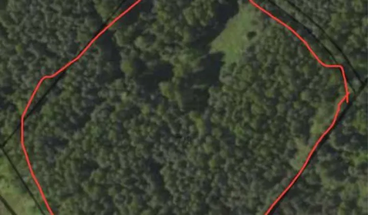 Działka siedliskowa Krynki