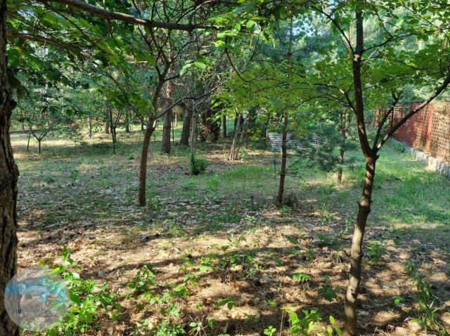 dom wolnostojący, 4 pokoje Warszawa, ul. Trakt Brzeski. Zdjęcie 3