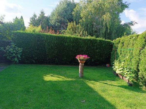 bliźniak, 5 pokoi Poznań Grunwald, ul. Paczkowska. Zdjęcie 9