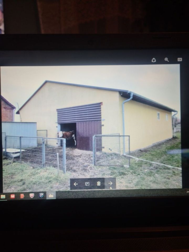 Działka rolna Gościmiec. Zdjęcie 3