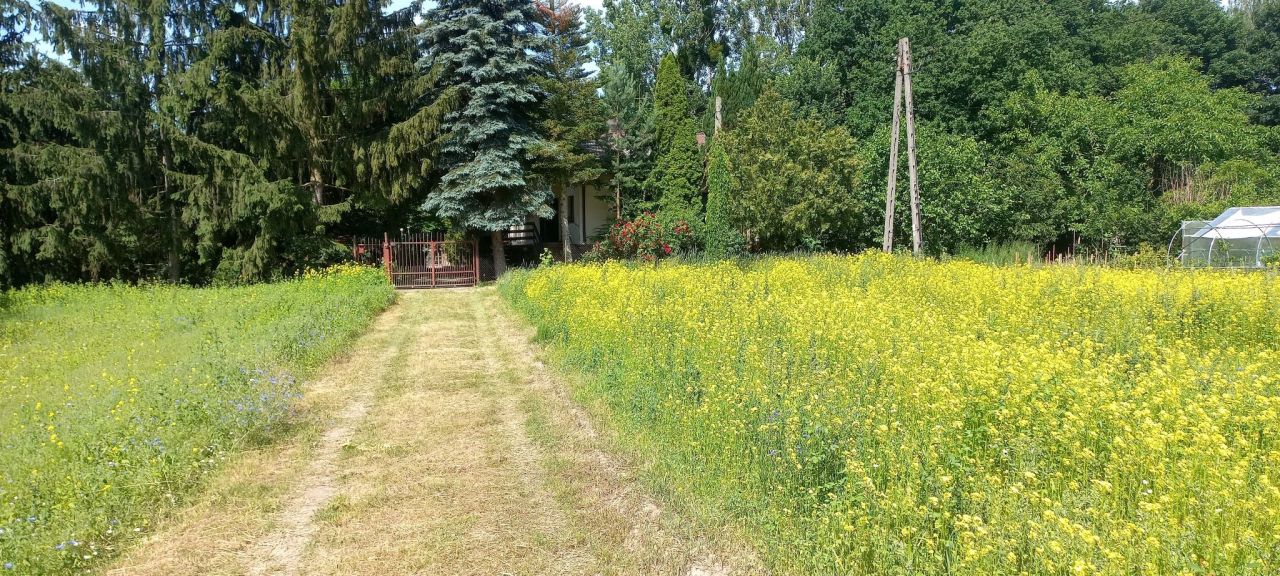 dom wolnostojący, 3 pokoje Marianów Kołacki. Zdjęcie 6