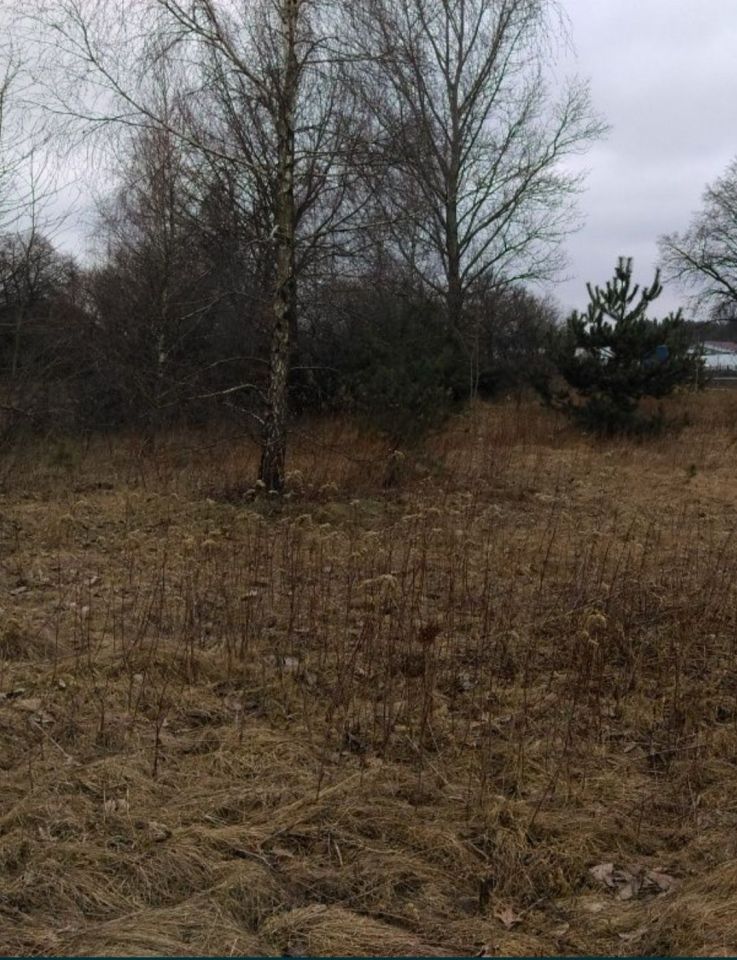 Działka inwestycyjna Gręzów. Zdjęcie 2