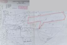 Działka leśna Zalesie. Zdjęcie 2