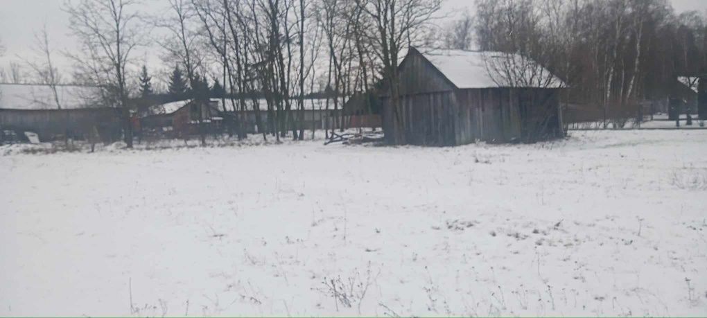 Działka rolno-budowlana Korzeń. Zdjęcie 8