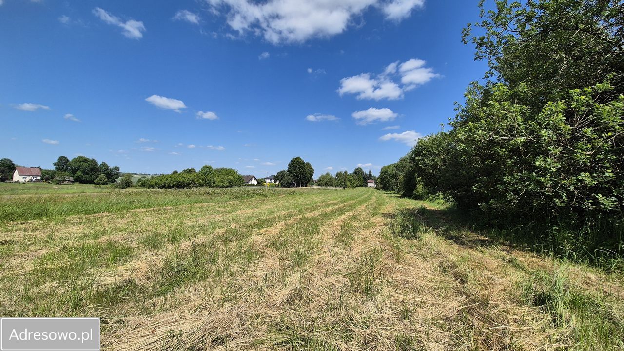 Działka rolno-budowlana Smardzowice. Zdjęcie 6