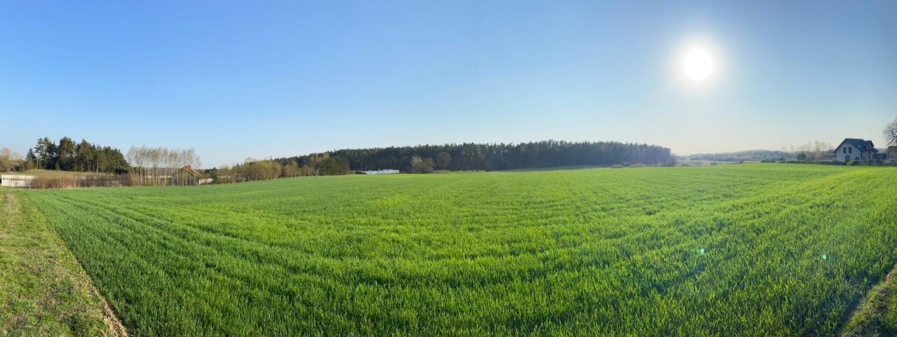 Działka budowlana Kleszczewo, ul. Spacerowa