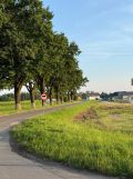 Działka budowlana Pustków Żurawski, ul. Cukrownicza. Zdjęcie 2