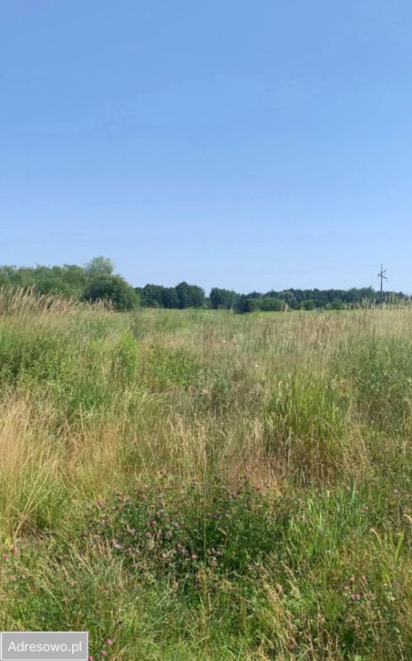 Działka budowlana Konstancin-Jeziorna. Zdjęcie 8