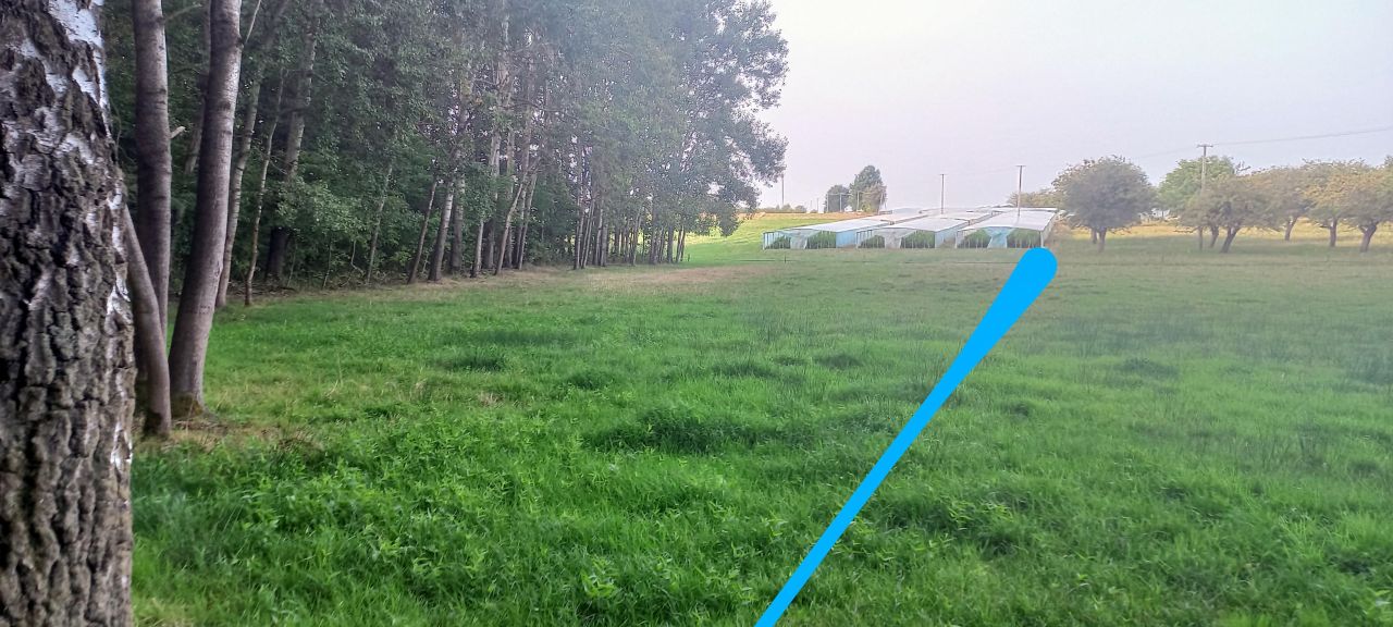 Działka leśna Romanów. Zdjęcie 7