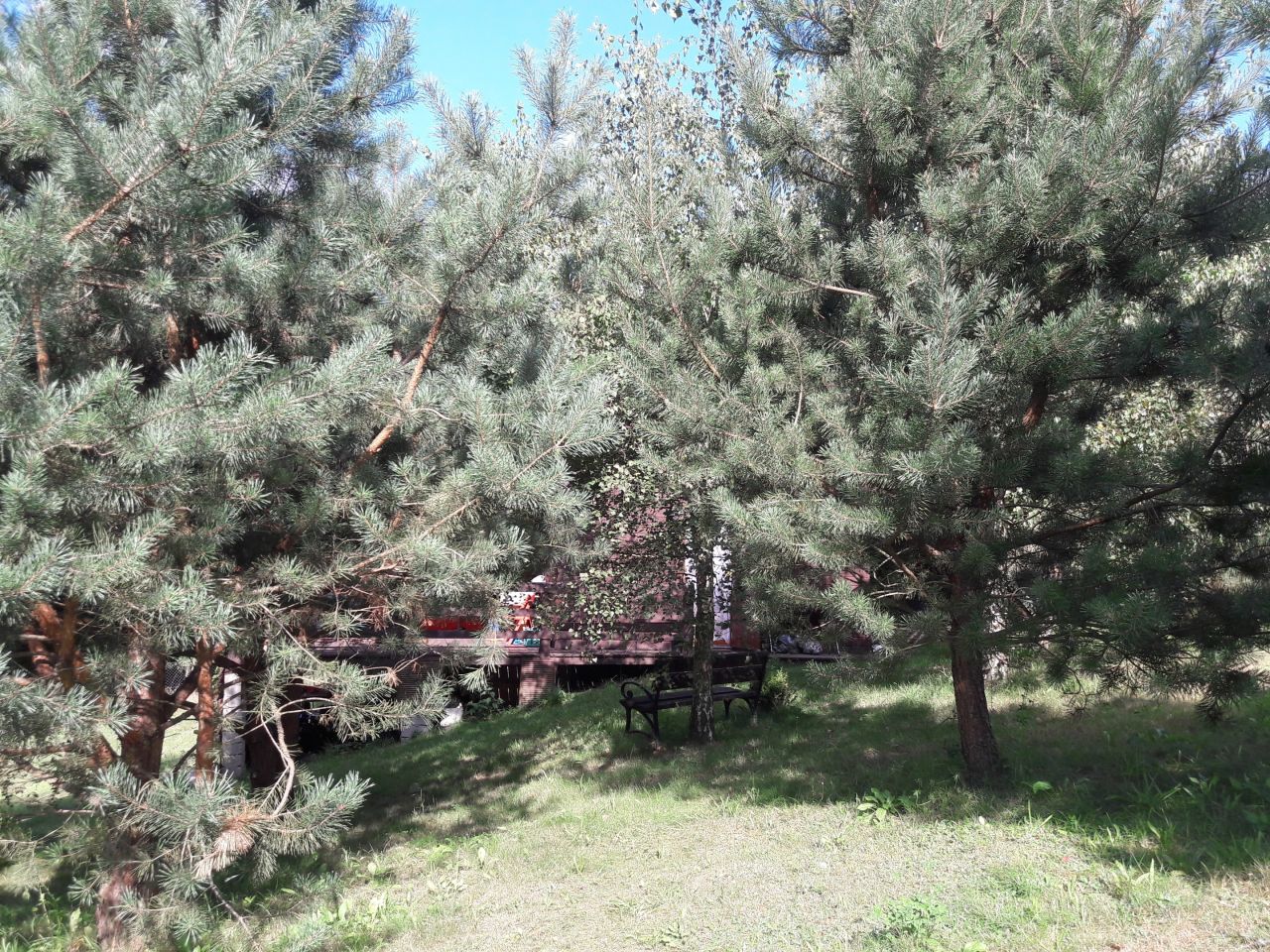 Działka rekreacyjna Lekarty. Zdjęcie 12