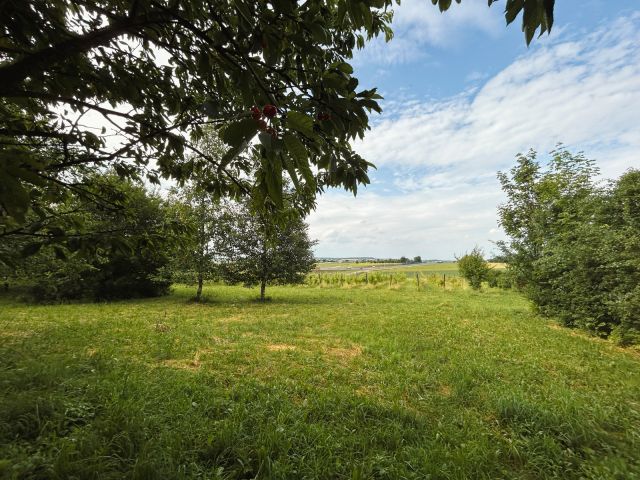 dom wolnostojący, 3 pokoje Bukowska Wola. Zdjęcie 28