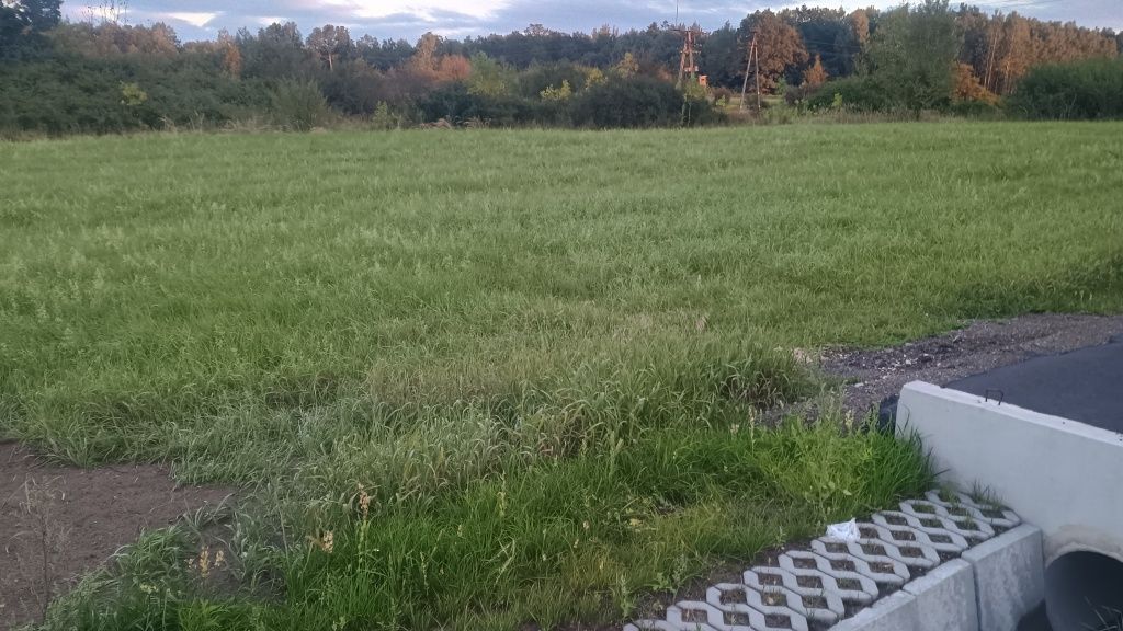 Działka rolna Dąbrowa Górnicza Łęka. Zdjęcie 5