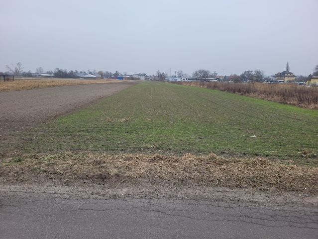 Działka rolno-budowlana Opole Nowa Wieś Królewska, ul. Jerzego i Ryszarda Kowalczyków. Zdjęcie 3