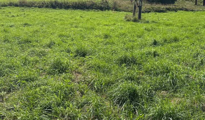 Działka budowlana Ujsoły, ul. Beskidzka
