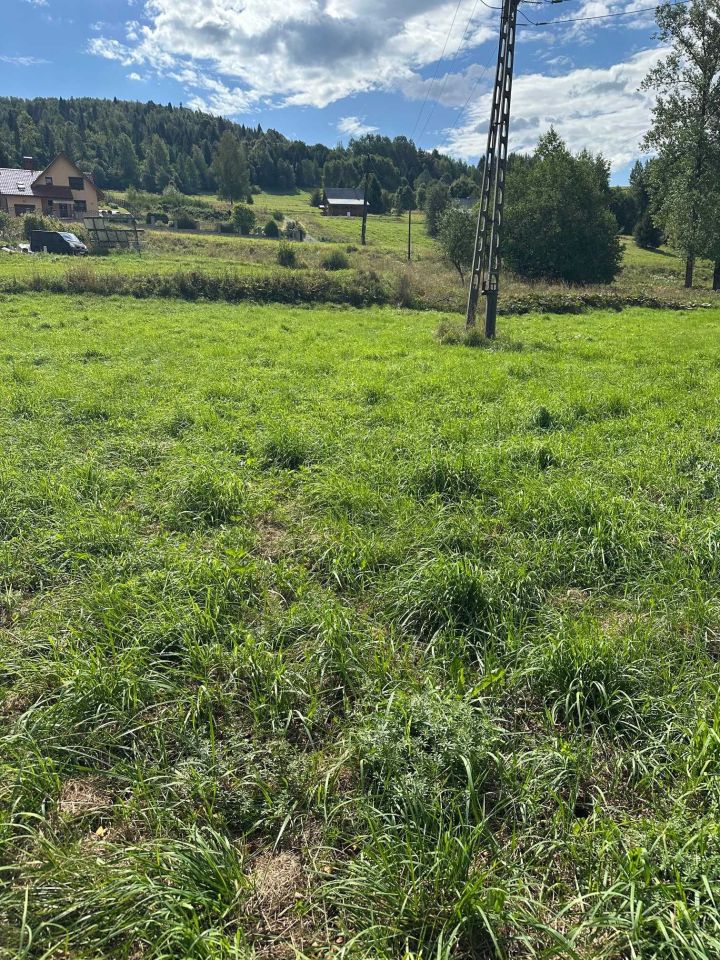Działka budowlana Ujsoły, ul. Beskidzka. Zdjęcie 1