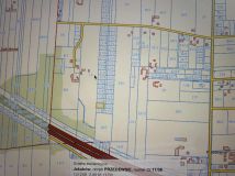 Działka rolno-budowlana Przedewsie. Zdjęcie 1