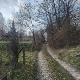 Działka budowlana Czaszyn, ul. Leśna. Zdjęcie 4