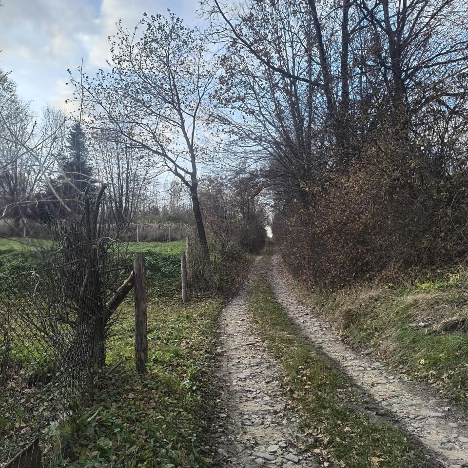 Działka budowlana Czaszyn, ul. Leśna. Zdjęcie 5