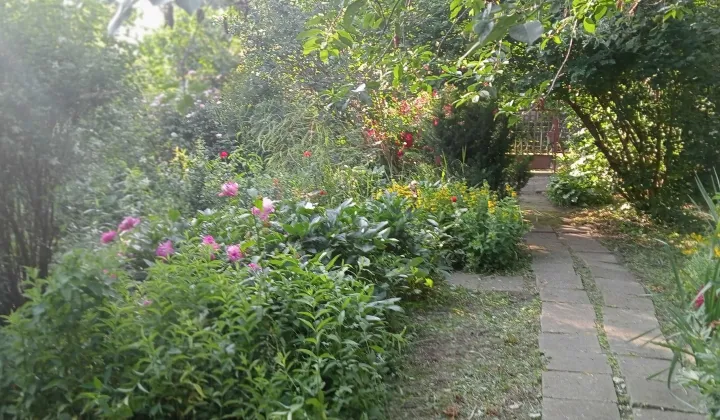 Działka rod Warszawa Praga-Południe, ul. Kinowa