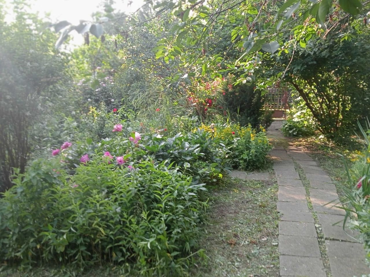 Działka rod Warszawa Praga-Południe, ul. Kinowa. Zdjęcie 1