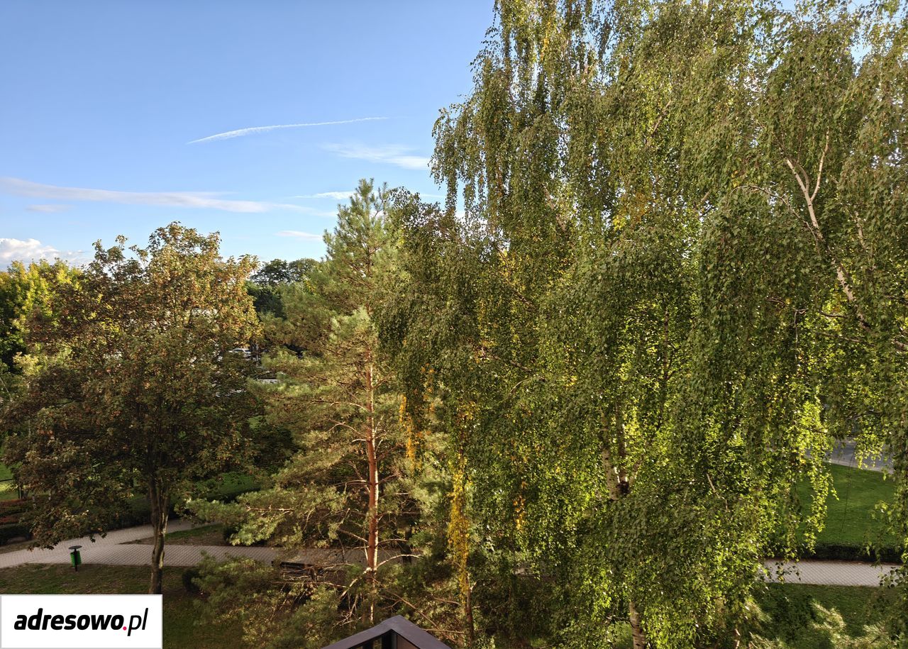 Mieszkanie 3-pokojowe Leszno, ul. Armii Krajowej. Zdjęcie 3
