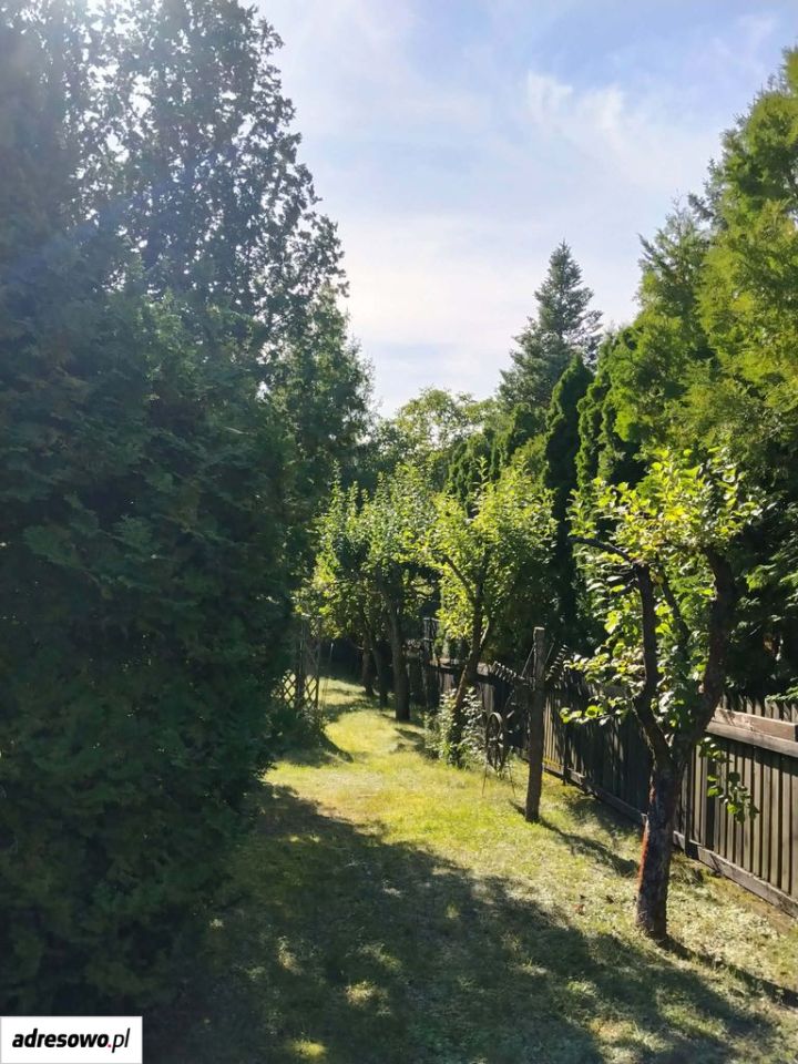 Działka rekreacyjna Ateny. Zdjęcie 4