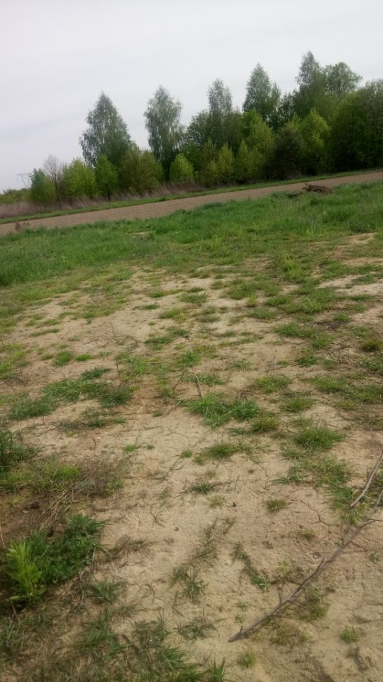 Działka budowlana Pólko. Zdjęcie 6