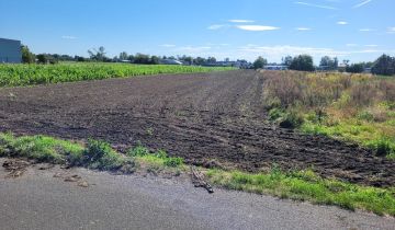 Działka budowlana Opole Nowa Wieś Królewska, ul. Bolesława Chrobrego