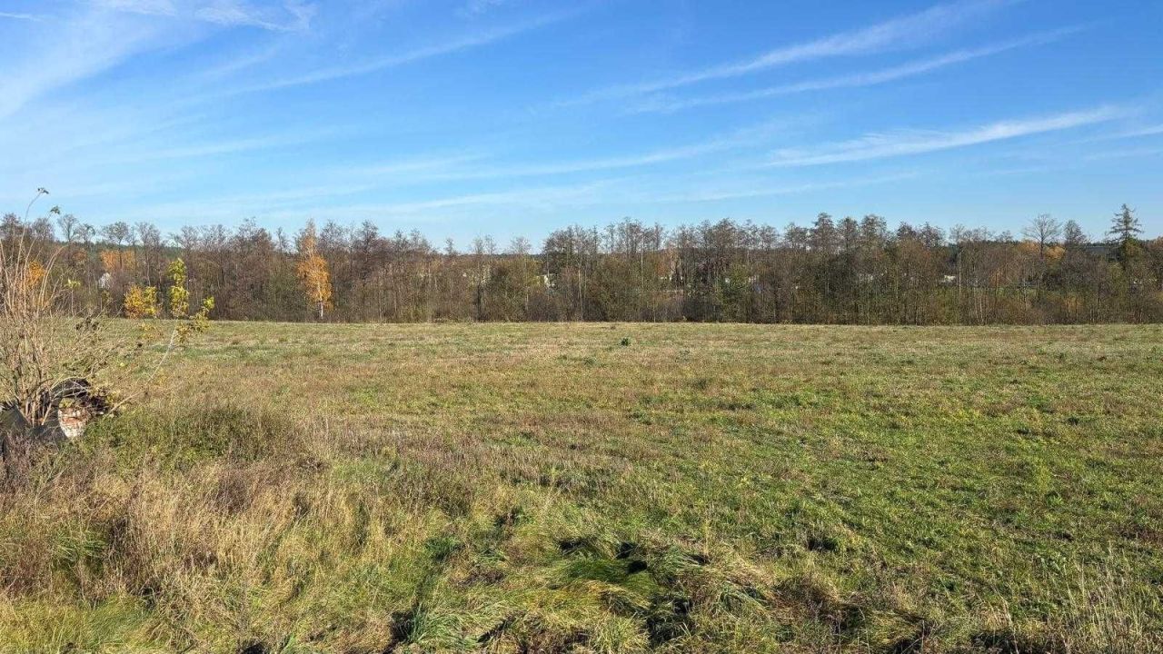 Działka siedliskowa Huta-Chojno