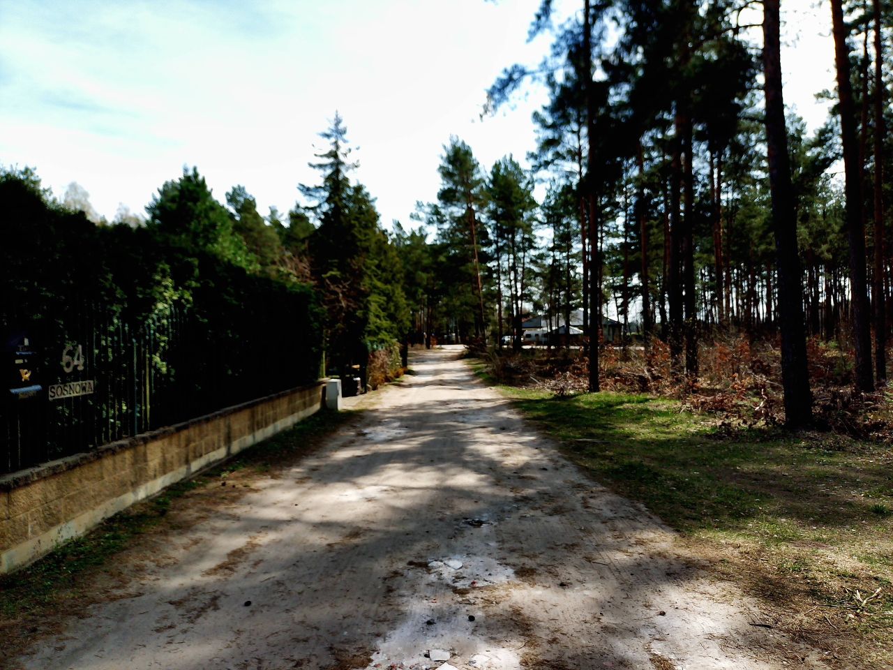 Działka leśna Marynino. Zdjęcie 23