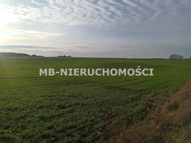 Działka rolna Jurgi. Zdjęcie 3