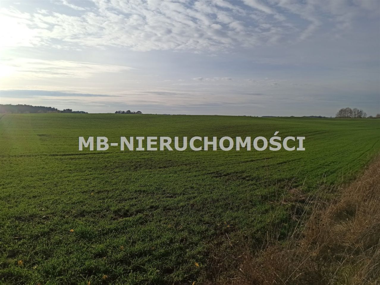 Działka rolna Jurgi. Zdjęcie 3