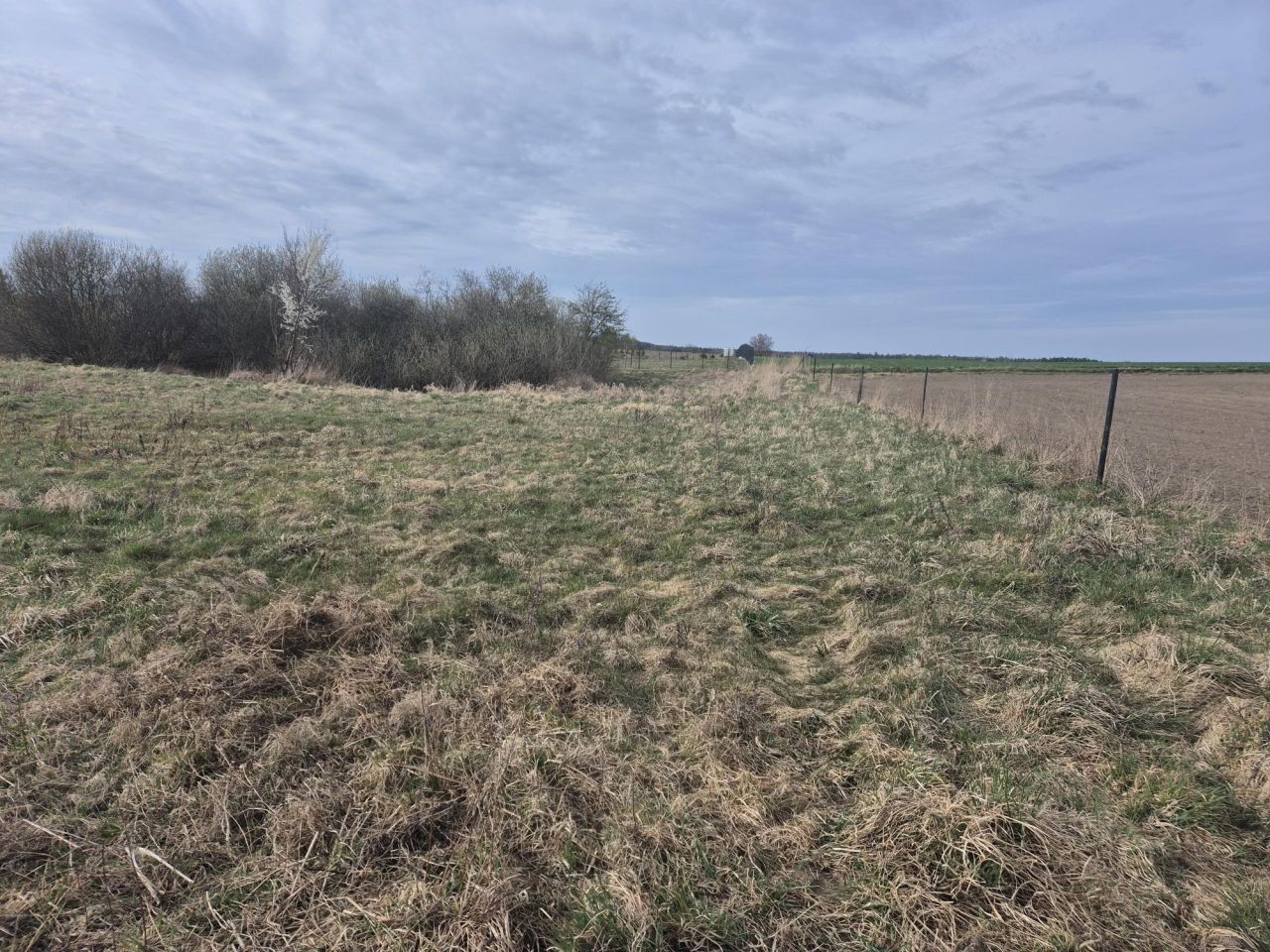 Działka rolna Dębica. Zdjęcie 6