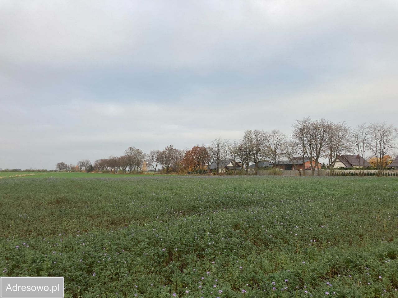 Działka budowlana Łuszkowo. Zdjęcie 6