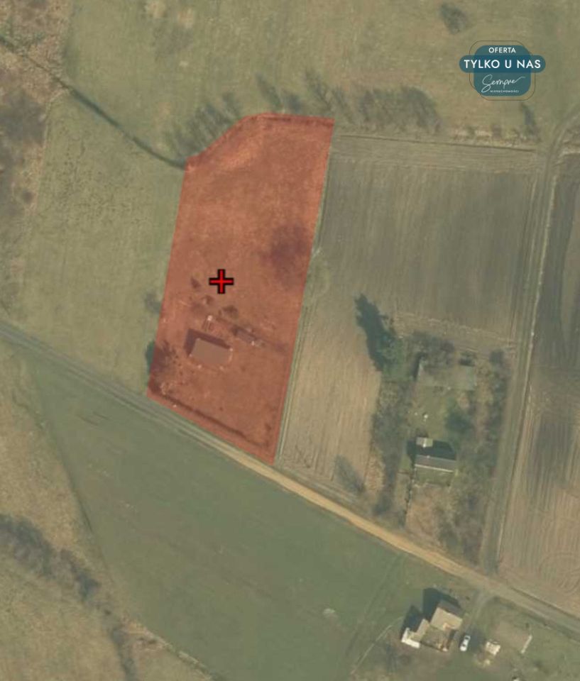 Działka siedliskowa Kiki. Zdjęcie 28